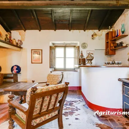 Exclusive With Fireplace Apartment *